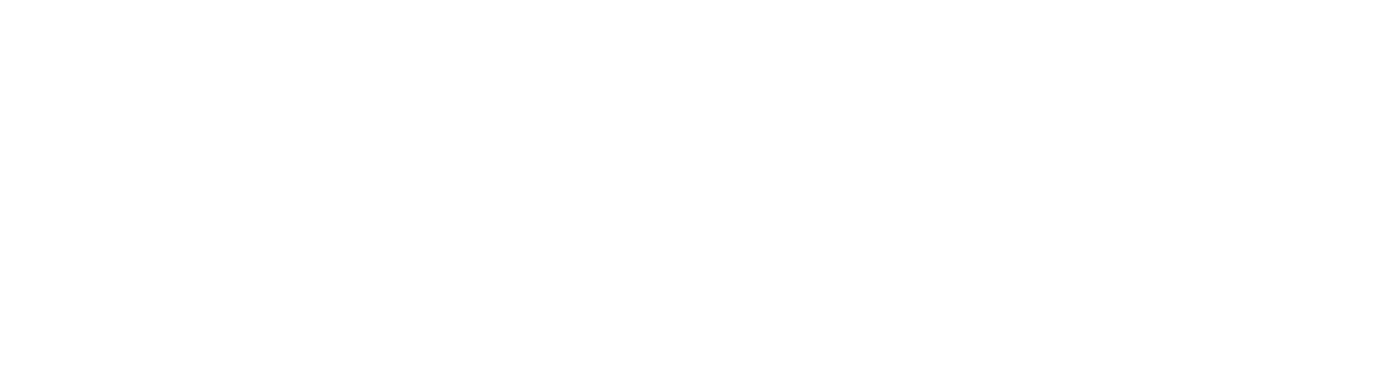 狮王电子交易网